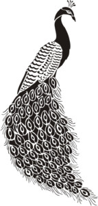 stencil-peacock-bw-525