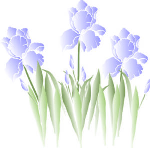 Painting Stencil Large Iris Flower - Walls Stencils, Plaster Stencils, Painting  Stencils