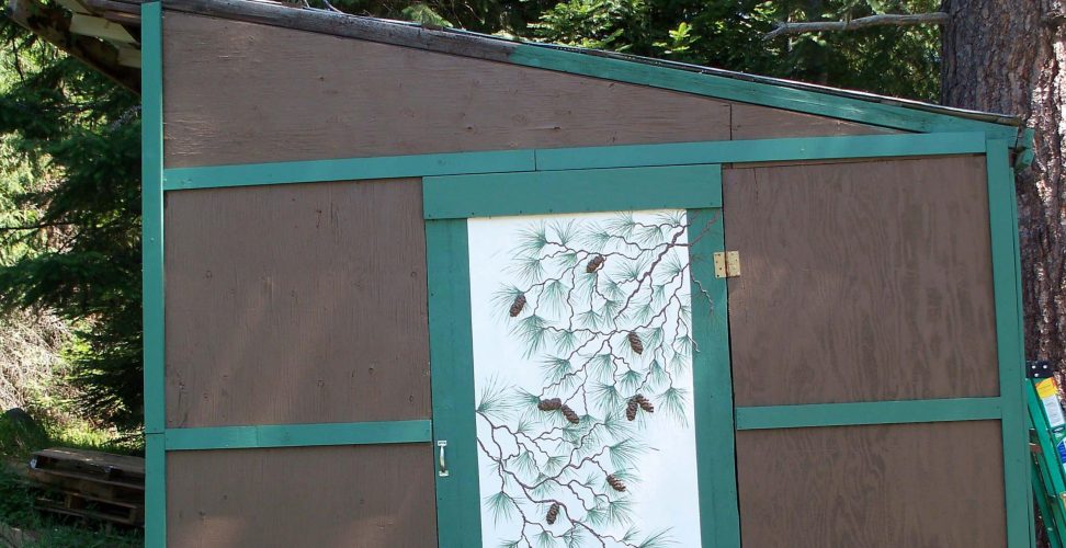 Shed-Makeover