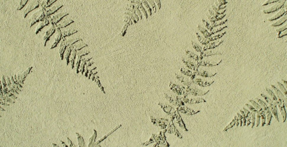 plaster_stencil_fern_leaves_WP