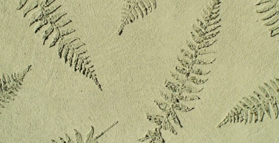 plaster_stencil_fern_leaves_WP