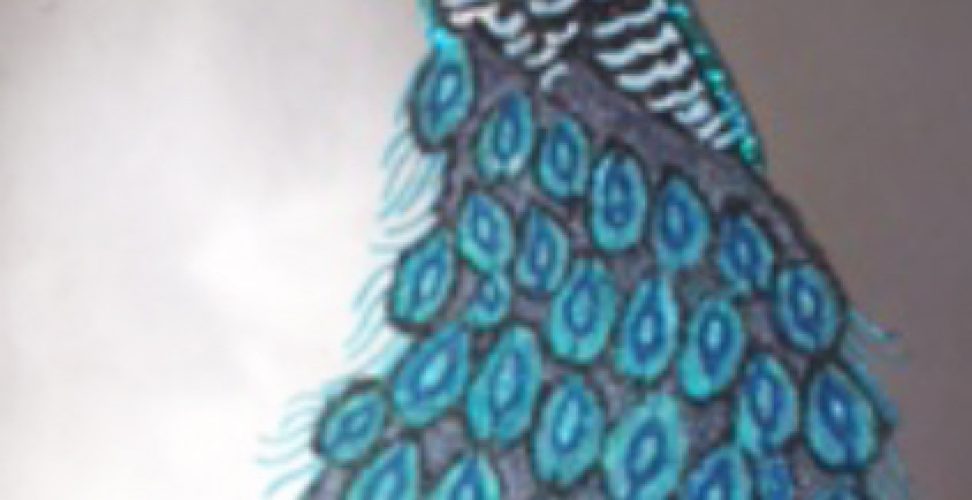 plaster_stencil_peacock_700