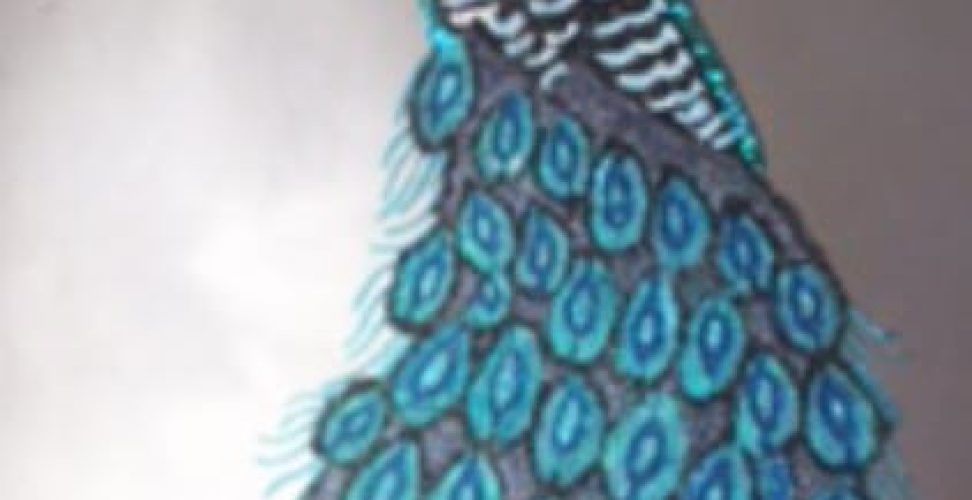 plaster_stencil_peacock_700